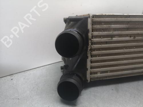 Intercooler CITROËN C4 II (NC_)  | BP15241138M30 