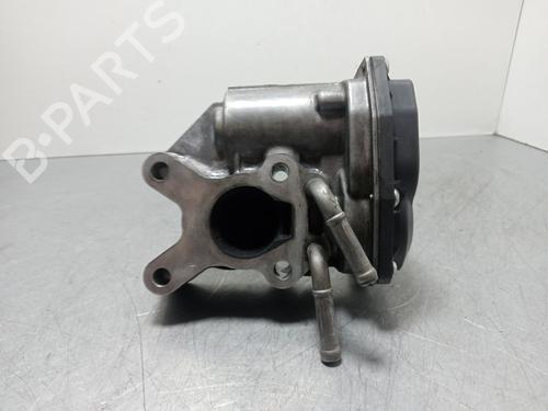 Egr NISSAN PATHFINDER III (R51)  | BP20703884M69 