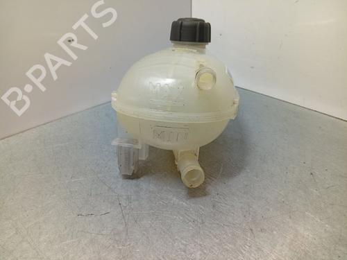 Vase D'Expansion DACIA JOGGER (RK_) | BP30859932C120