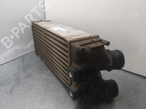 Intercooler CITROËN C4 II (NC_)  | BP15241138M30 
