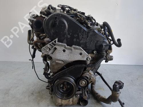 Engine VW CADDY III MPV (2KB, 2KJ, 2CB, 2CJ) 1.6 TDI | BP31862693M1  - Image 6