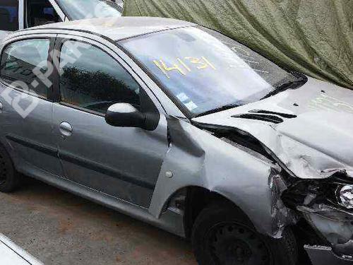 Left front door PEUGEOT 206 Hatchback (2A/C) 1.4 HDi eco 70 | BP89904C2 