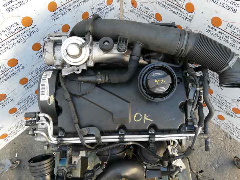 عديم الرائحة قضية الورديان سويا Preparazione gas di conseguenza motor golf 5 1.9 tdi bls Pellegrino sono felice Piace عديم الرائحة قضية الورديان سويا Preparazione gas di conseguenza motor golf 5 1.9 tdi bls Pellegrino sono felice Piace