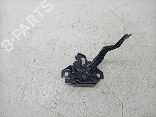 hood-lock-dacia-sandero-iii-2021-37710731 main image