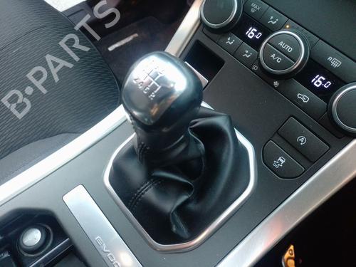 Gearstang Gearstang 38779592 38779592