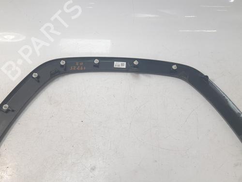 Front left wheel arch trim TOYOTA RAV 4 V (_A5_, _H5_) 2.5 Hybrid (AXAH52) | BP29453060C134 