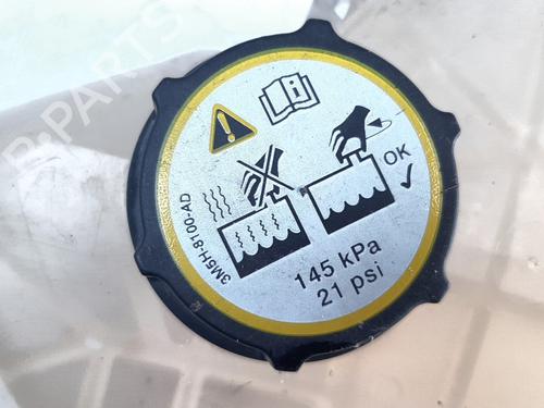 Expansion tank FORD FIESTA VI (CB1, CCN) 1.6 TDCi | BP19117685C120 