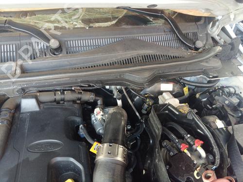 BP29745518M77 main image
