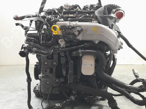 Used Engine Engine SKODA OCTAVIA IV (NX3, NN3, PV3) 2.0 TDi (116 hp) 33929508 33929508
