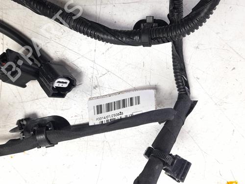 Used Cable NISSAN JUKE (F16_) DIG-T 117 (117 hp) 29734962