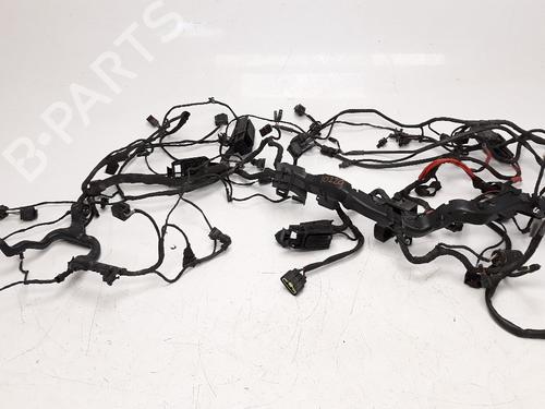 Used Electronic module BMW MOTORCYCLES R 1200 R 1200 GS (K50) (125 hp) 25230754
