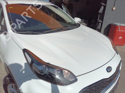 Used Hood KIA SPORTAGE IV (QL, QLE) [2015-2022]  25469312