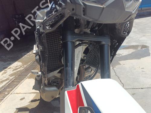 Used Water radiator HONDA MOTORCYCLES CRF CRF 1100 L Africa Twin DCT (SD13) (102 hp) 28035492