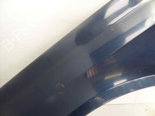 Left front fenders RENAULT LAGUNA II (BG0/1_) 1.9 dCi (BG08, BG0G) | BP131566C41 