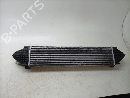 Intercooler LAND ROVER RANGE ROVER EVOQUE (L538) 2.0 4x4 | BP40158546M30 - Image 2