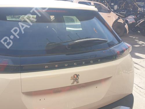 Viskermotor bagrude PEUGEOT 2008 II (UD_, US_, UY_, UJ_, UR_, UC_) [2019-2025]  20237756