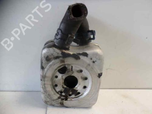 Oliekøler SEAT IBIZA III (6L1) [2002-2009]  14204879