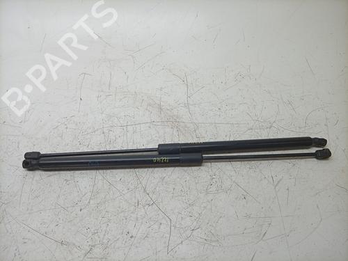 tailgate-lift-support-ford-focus-iv-hn-2018-28513607 main image