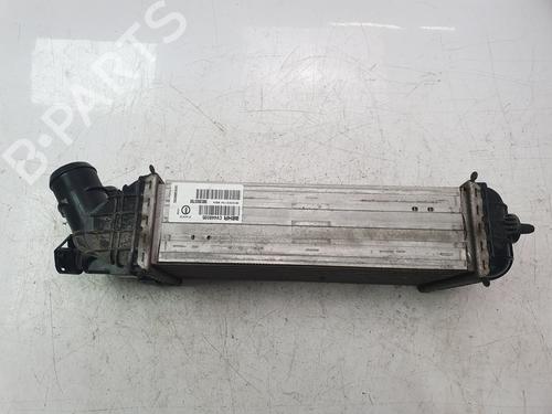 Intercooler PEUGEOT 2008 I (CU_) 1.2 THP 110 / PureTech 110 | BP29893261M30 