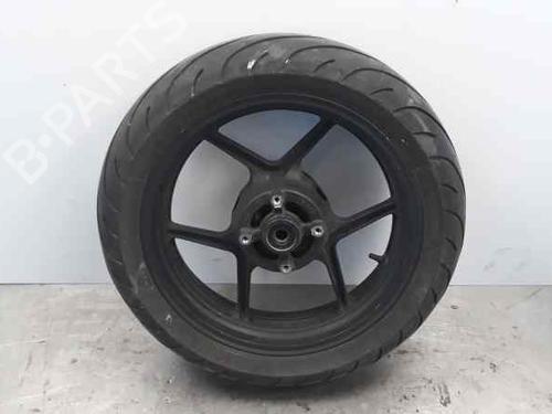 Fælk KAWASAKI MOTORCYCLES VERSYS Versys 650 ABS (LE650E) (69 hp) 25234306