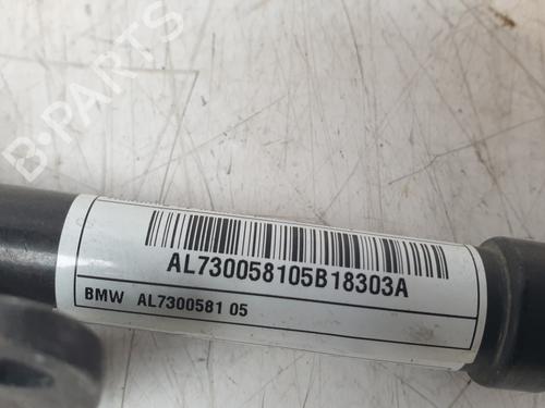 Elektronisk modul BMW X1 (F48) sDrive 18 d | BP29434121M83 