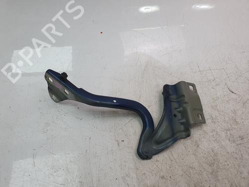 Hinge/Door check strap RENAULT MEGANE IV Hatchback (B9A/M/N_) 1.3 TCe 140 (B9NB) | BP29909708C146 