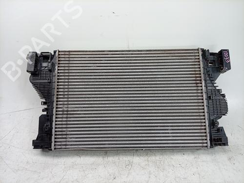 Intercooler Intercooler MERCEDES-BENZ B-CLASS Sports Tourer (W247) B 180 (247.084) (136 hp) 37028044 37028044