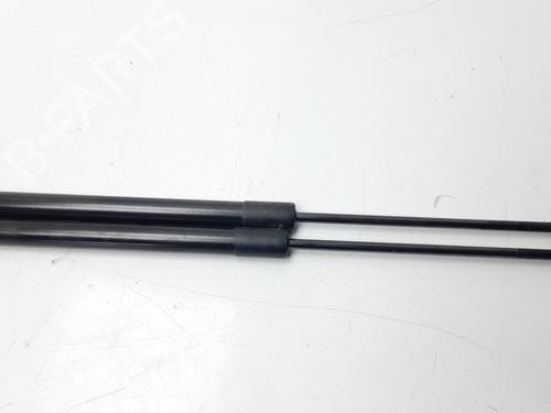 Used Tailgate lift support DACIA SANDERO II [2012-2025]  14195809