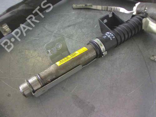 Right curtain airbag RENAULT MEGANE II (BM0/1_, CM0/1_) | BP2957136C12