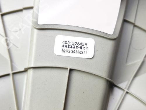 Hub cap DACIA SPRING EV (B6M1) | BP31969506C160