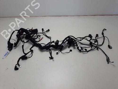 Used Electronic module BMW MOTORCYCLES R 1200 R 1200 GS (K50) (125 hp) 25234184