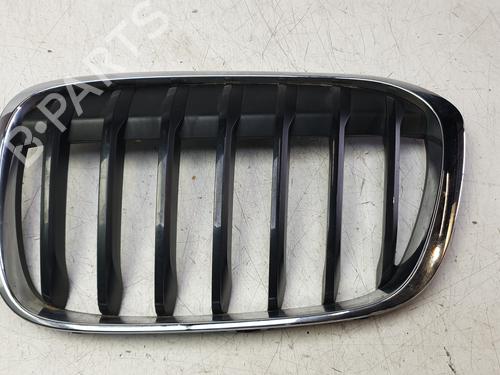 Grill Grill BMW X1 (F48) sDrive 18 d (150 hp) 33795259 33795259