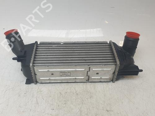 Intercooler PEUGEOT 407 (6D_) 2.0 HDi 135 (6DRHRH, 6DRHRE, 6DRHRG, 6DRHRJ) | BP29604427M30 