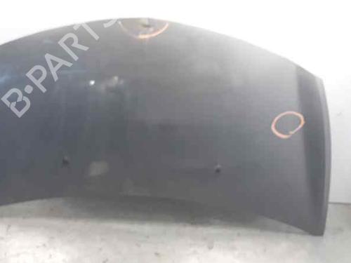 Used Hood RENAULT CLIO III (BR0/1, CR0/1) 1.5 dCi (75 hp) 4625930