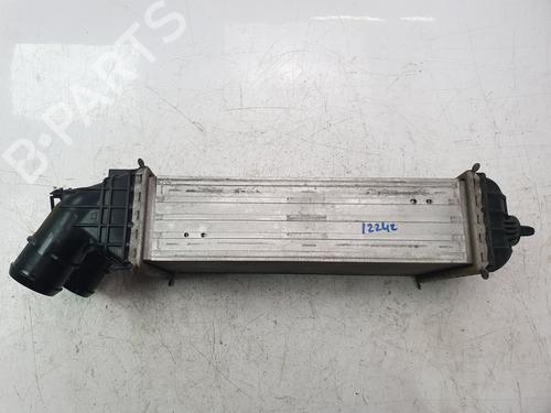 Intercooler PEUGEOT 2008 I (CU_) 1.2 THP 110 / PureTech 110 | BP29893261M30 