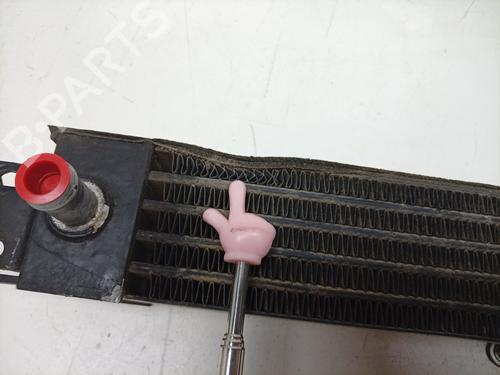Oil radiator ASTON MARTIN RAPIDE 6.0 | BP37758396M33 - Image 5