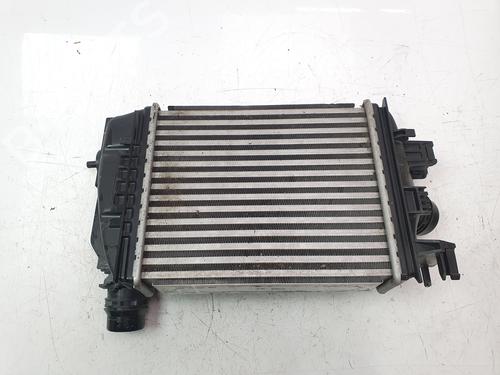 Intercooler NISSAN JUKE (F16_) DIG-T 117 | BP29708148M30 