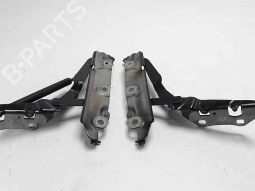 Hinge/Door check strap JAGUAR XF I (X250) 3.0 D | BP14205444C146 