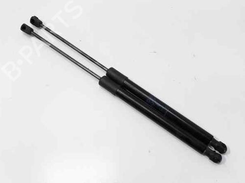 Used Tailgate lift support CITROËN C3 AIRCROSS II (2R_, 2C_) [2017-2025]  14207414
