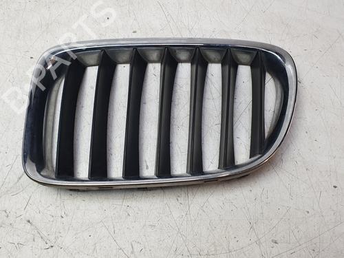 Used Grille Grille BMW X1 (E84) sDrive 18 d (143 hp) 33929529 33929529