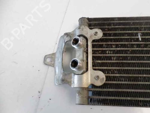 Oil radiator VW TOUAREG (7LA, 7L6, 7L7) 5.0 V10 TDI | BP14205016M33 