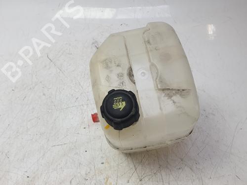 Ekpansionstank RENAULT KANGOO Express (FW0/1_) Z.E. (FW0Z, FW1Z) (60 hp) 33218942
