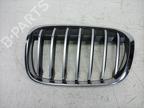 Used Grille Grille 38985046 38985046
