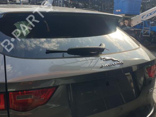 Viskermotor bagrude JAGUAR F-PACE (X761) [2015-2025]  22549374
