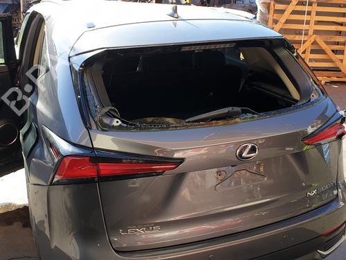 Used Tailgate LEXUS NX (_Z1_) 300h (AYZ10_, AYZ10R) (197 hp) 15506469