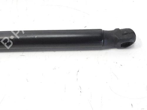 Tailgate lift support FORD FOCUS III 1.5 TDCi | BP14195416C138 