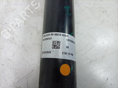 Right rear shock absorber DACIA SPRING EV (B6M1) | BP31089595M19 - Image 4