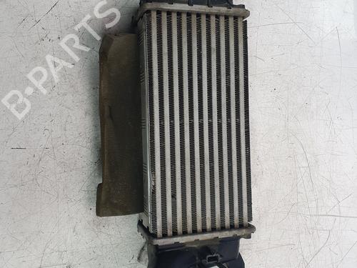 Used Intercooler Intercooler FORD ECOSPORT 1.0 EcoBoost (140 hp) 34235631 34235631