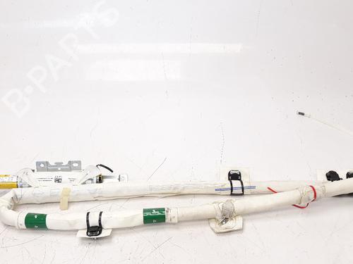 Used Right curtain airbag FORD C-MAX II (DXA/CB7, DXA/CEU) 1.5 TDCi (120 hp) 8662257