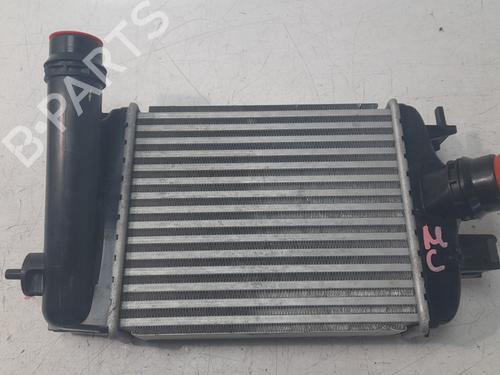 Intercooler RENAULT CLIO V (B7_) 1.5 Blue dCi 100 (B7AD) (101 hp) 31717263